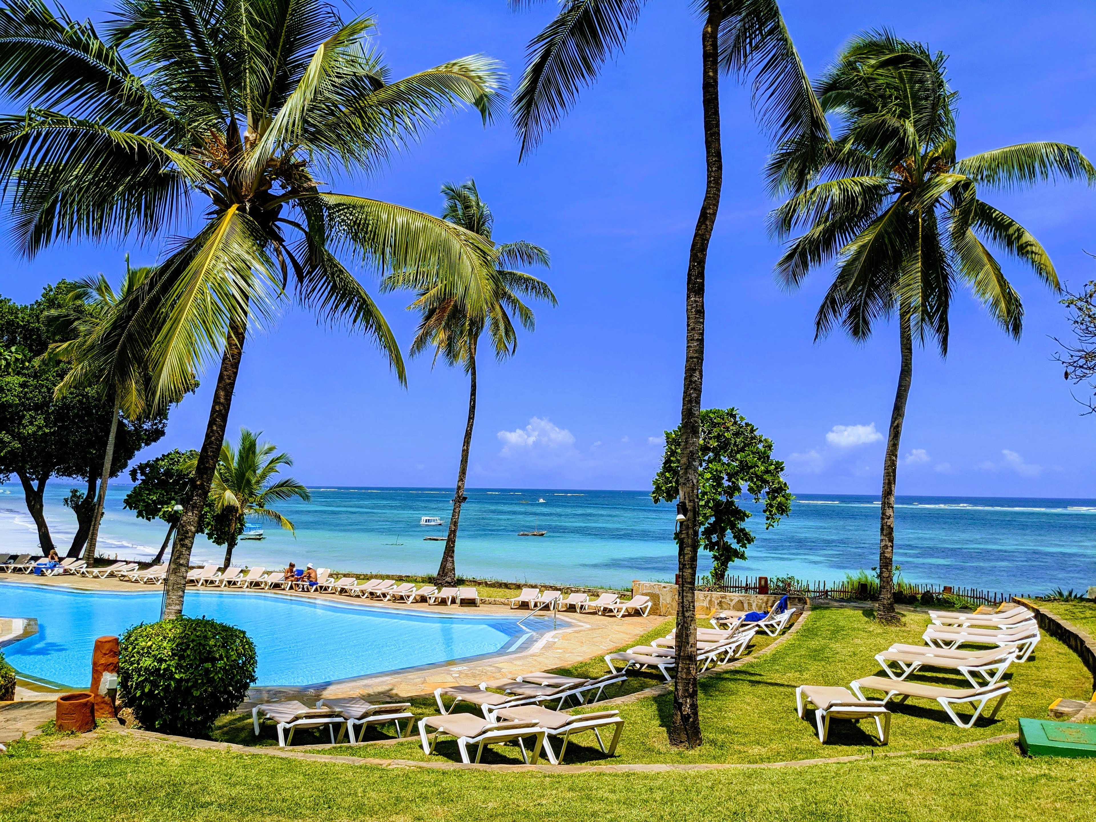 Palm trees and a hotel pool beside the ocean in Mombasa